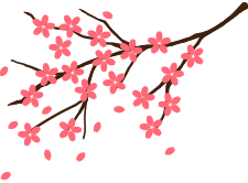 桜